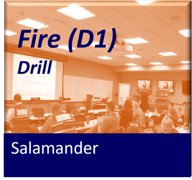 Salamander Fire Scenario Exercise Drill